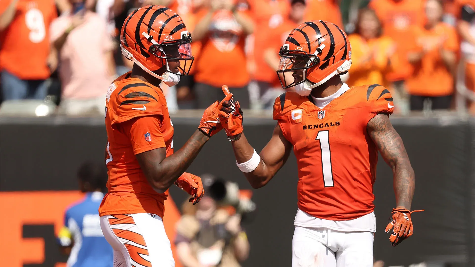 Bengals